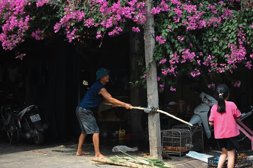 market analysis of codes